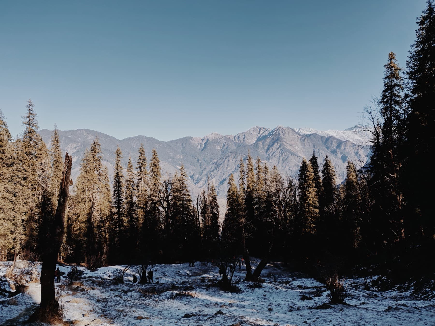 Kedarkantha — trail photo 6