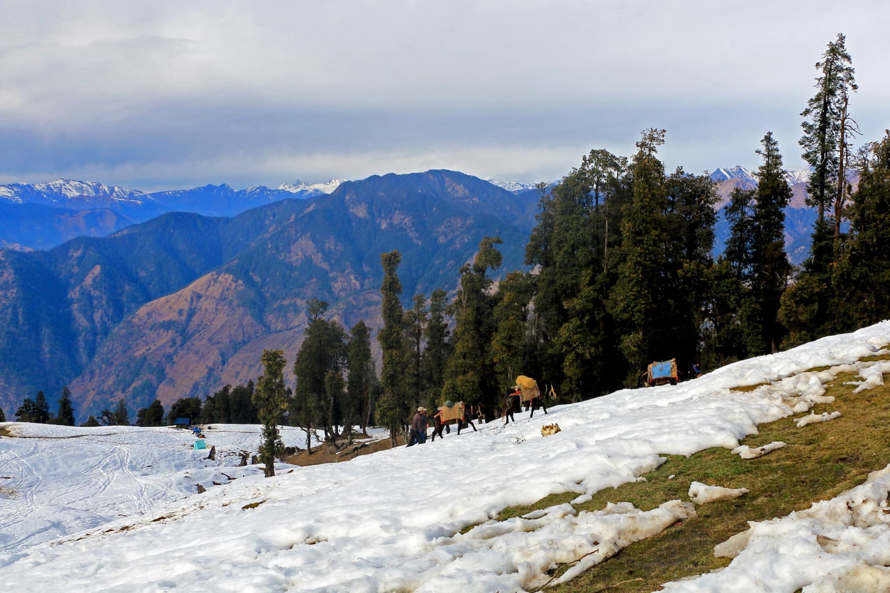 Kedarkantha — trail photo 5