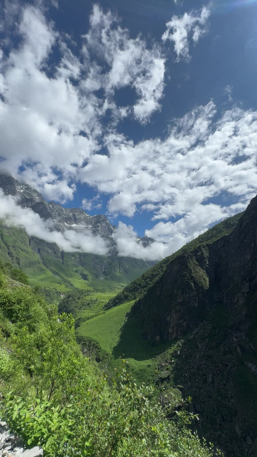 Valley of Flowers — trail photo 2