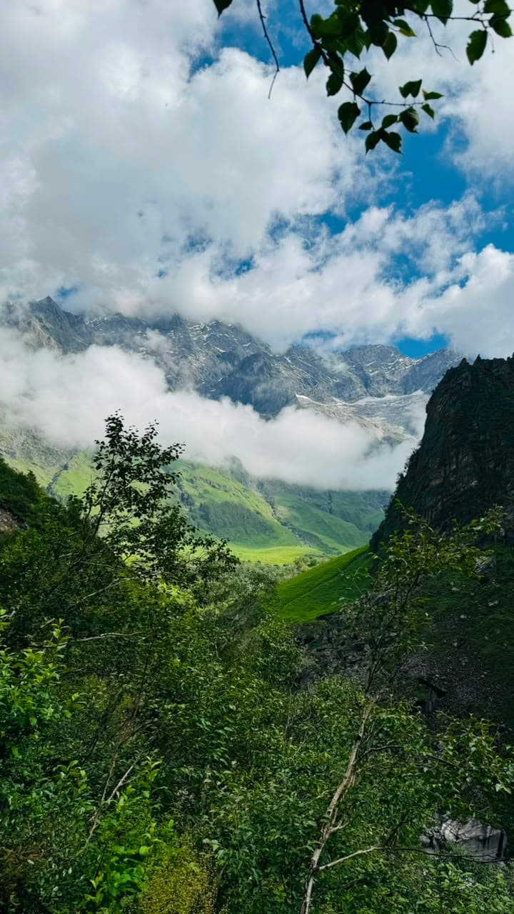 Valley of Flowers — trail photo 4